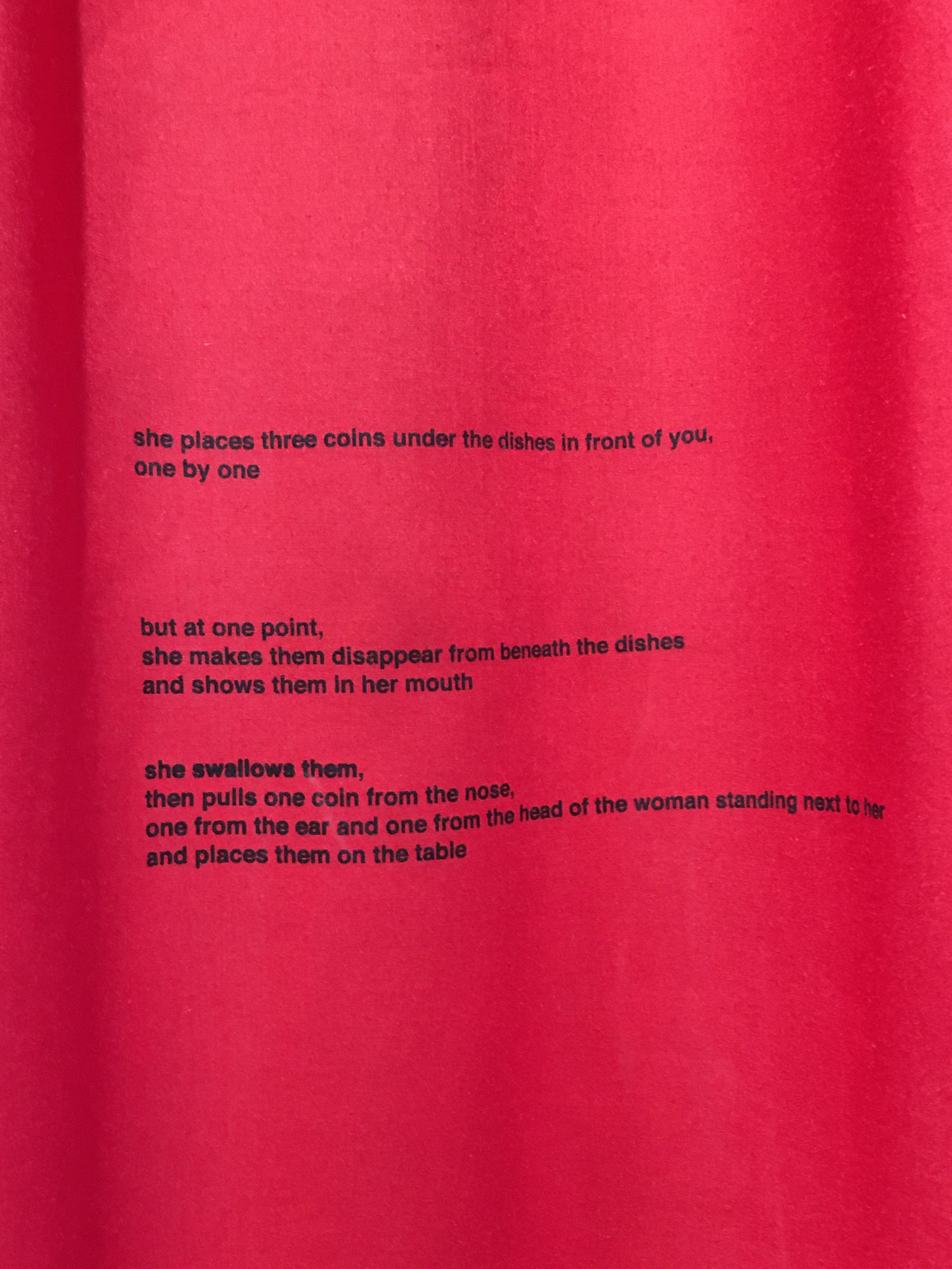 Detail of Ruth Höflich, <em>Traveller</em>, 2021, fabric curtain, screen print, dimensions variable. Photo: Ursula de Leeuw