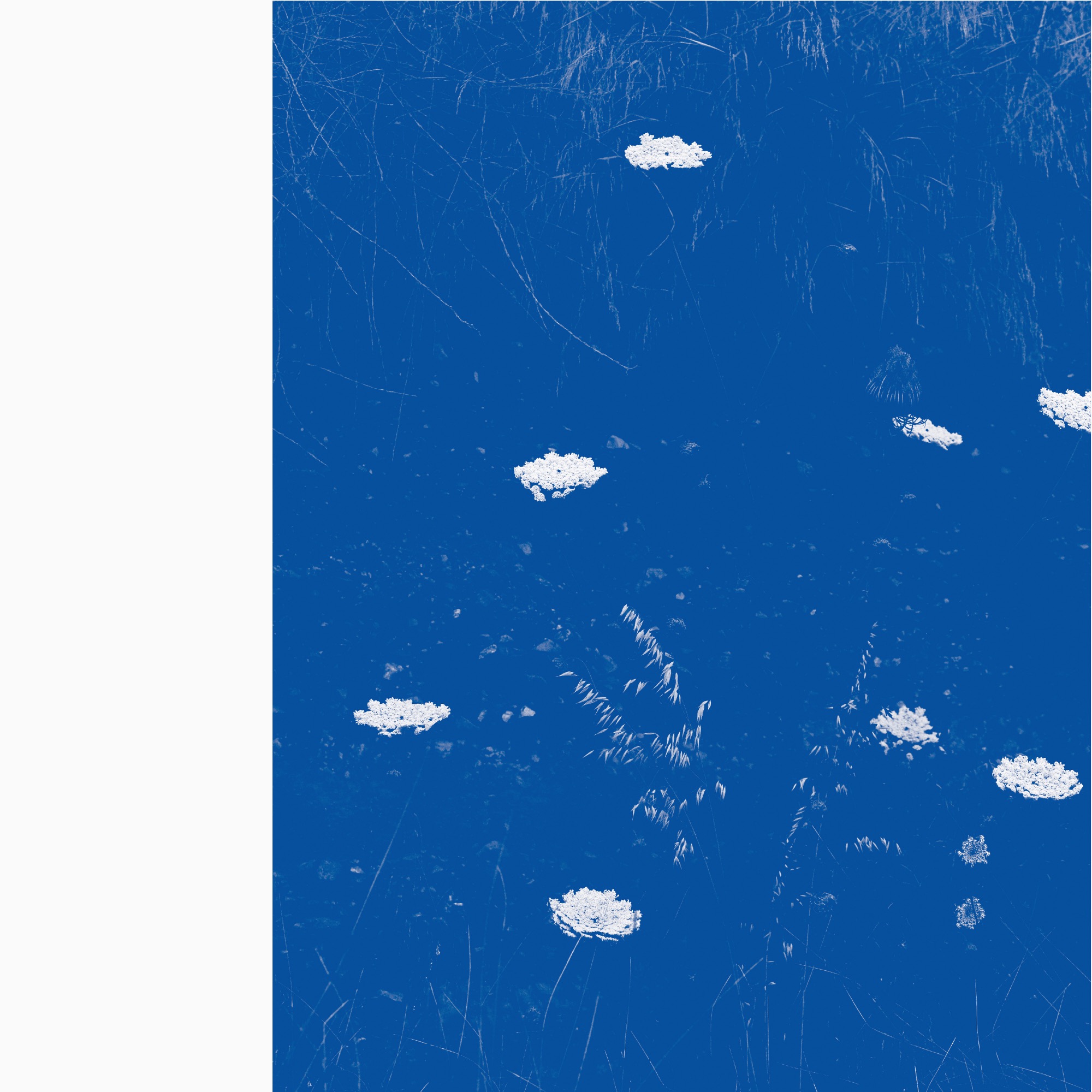 Merzbow, ‘Flare Blues’ LP, 2021, cover and centre label (Designer: Traianos Pakioufakis). Photo: the artist
