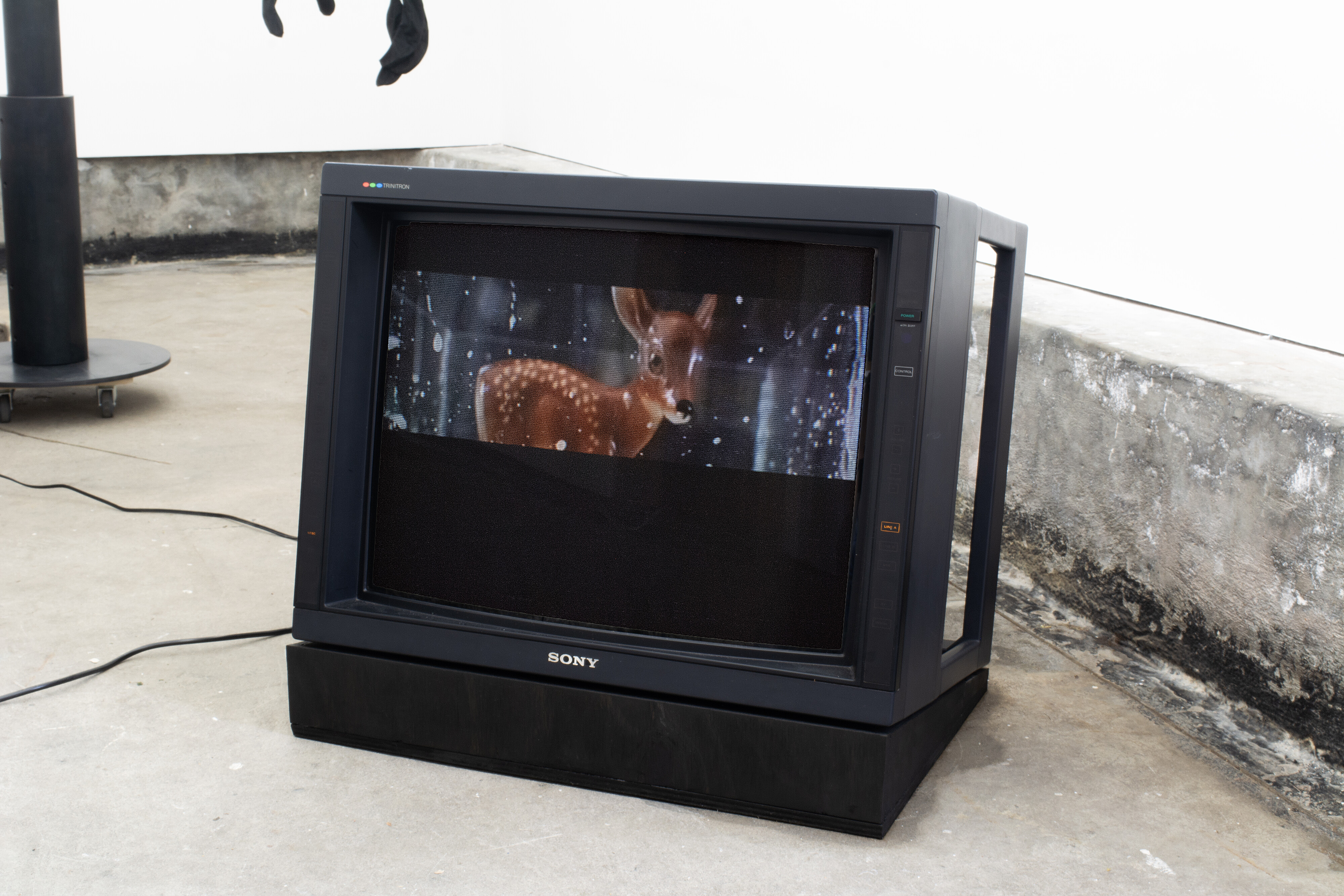 <p>Nica Nervegna-Reed, <em>Coucou!</em>, 2024, HD video, 2 minutes 20 seconds. Photo: Darcy Guttridge</p>