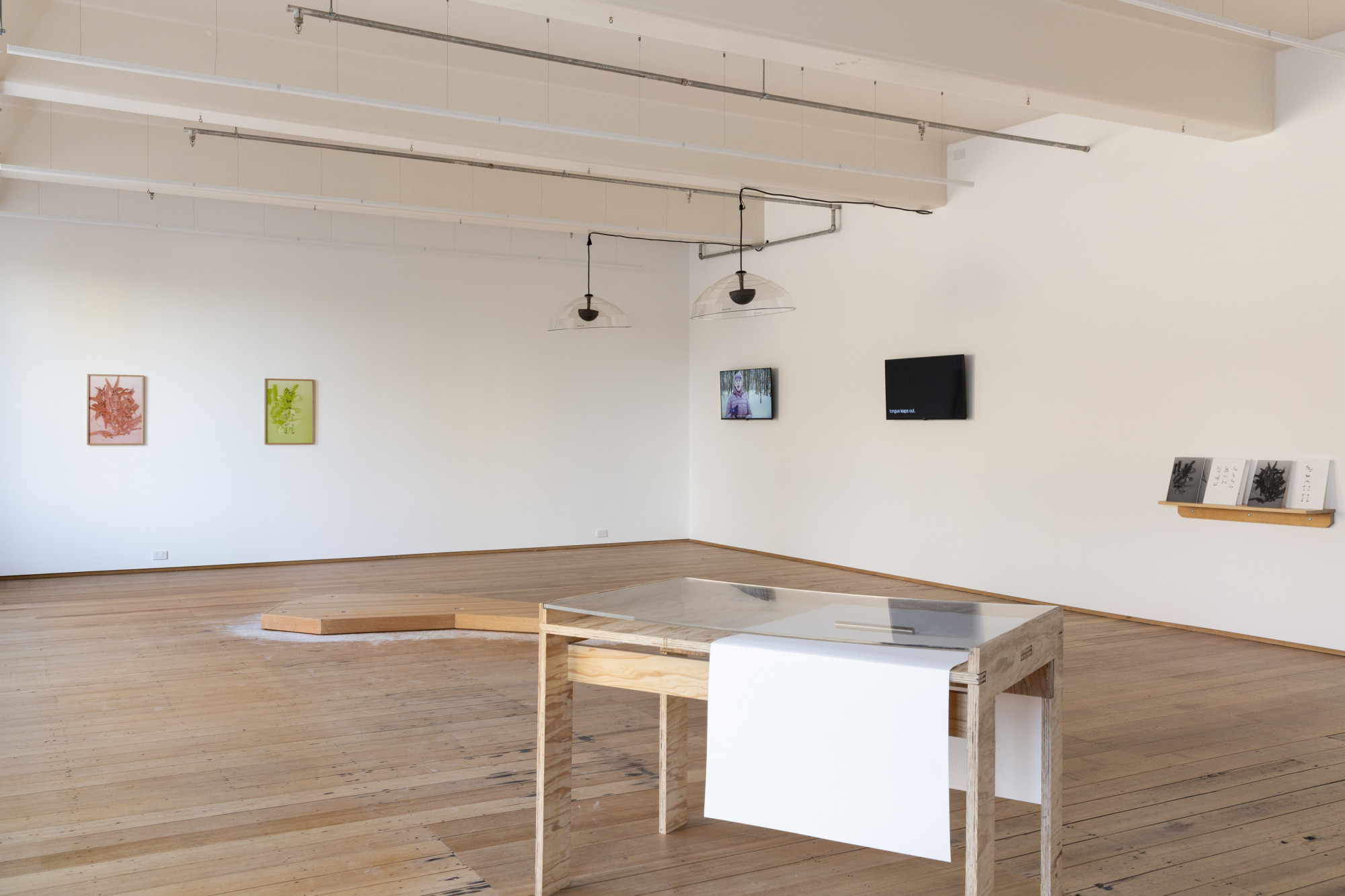Lizzie Boon, <em>Vitrine</em> (2021), wood, perspex, draft publication layout: Sofia Lo Bianco and Fayen d’Evie, <em>Care is a Cognate to Grief</em>, 2020/2, published by 3-ply. Printed with Trent Walter. Dimensions variable. Courtesy of the artist. Photo: Janelle Low