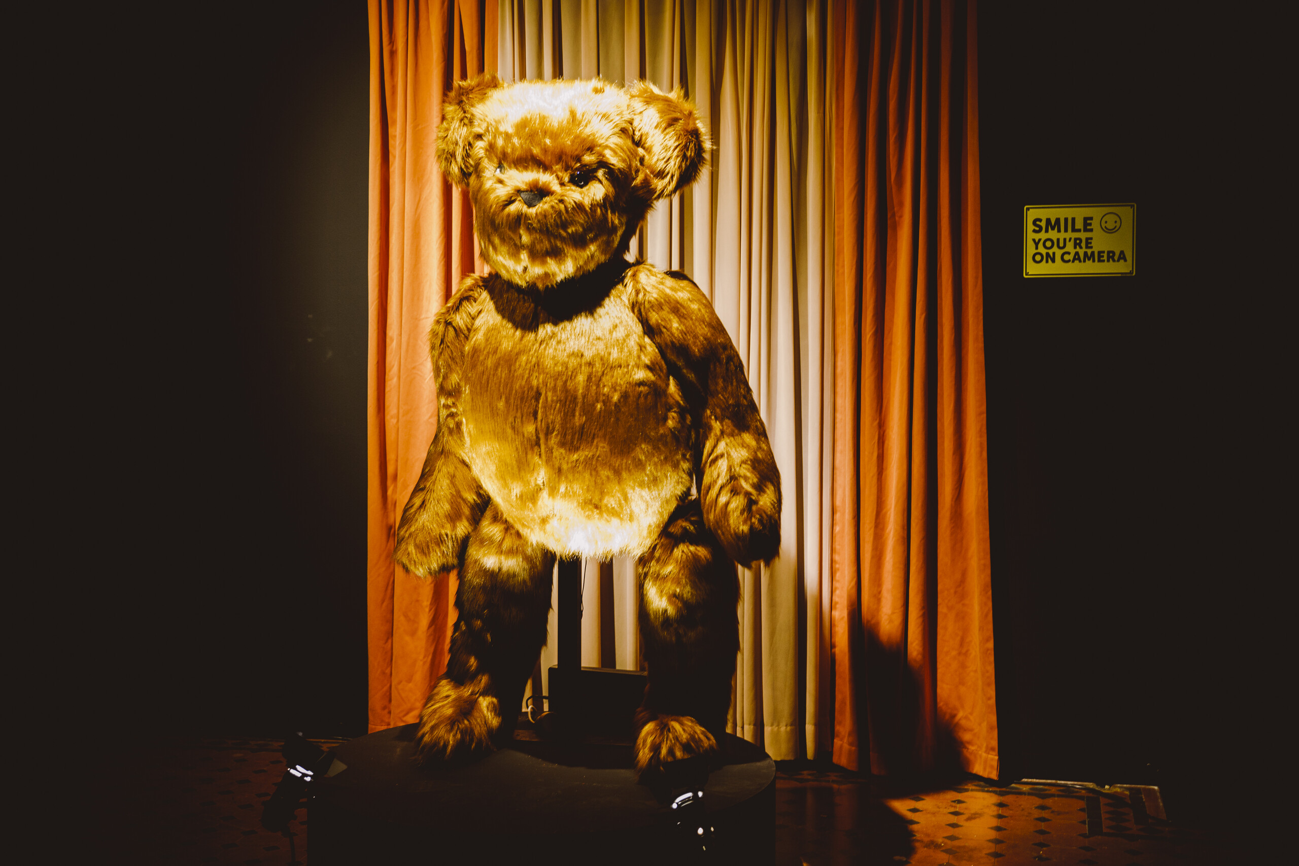 EJ Son, <em>Dancing Teddy</em>, 2022, Synthetic fur, Perspex, steel, motor, tennis ball, cctv camera. Photo credit: Gianna Rizzo.