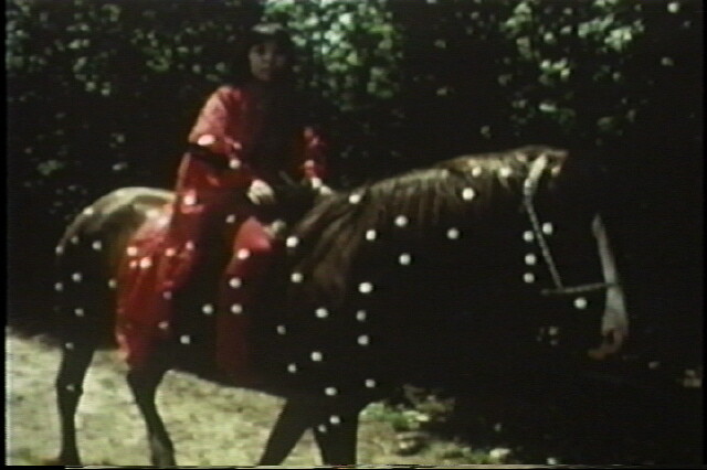 <p>Yayoi Kusama, <em>Self-Obliteration, </em>19671. 6mm colour film with sound transferred to digital video, 23 min33 sec. Cinematographer: Jud Yalkut. Collection of the artist© YAYOI KUSAMA</p>