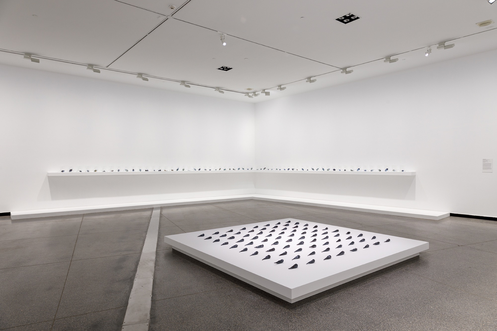 Installation view, <em>Yhonnie Scarce: Missile Park</em>, Australian Centre for Contemporary Art, Melbourne. Photo: Andrew Curtis.