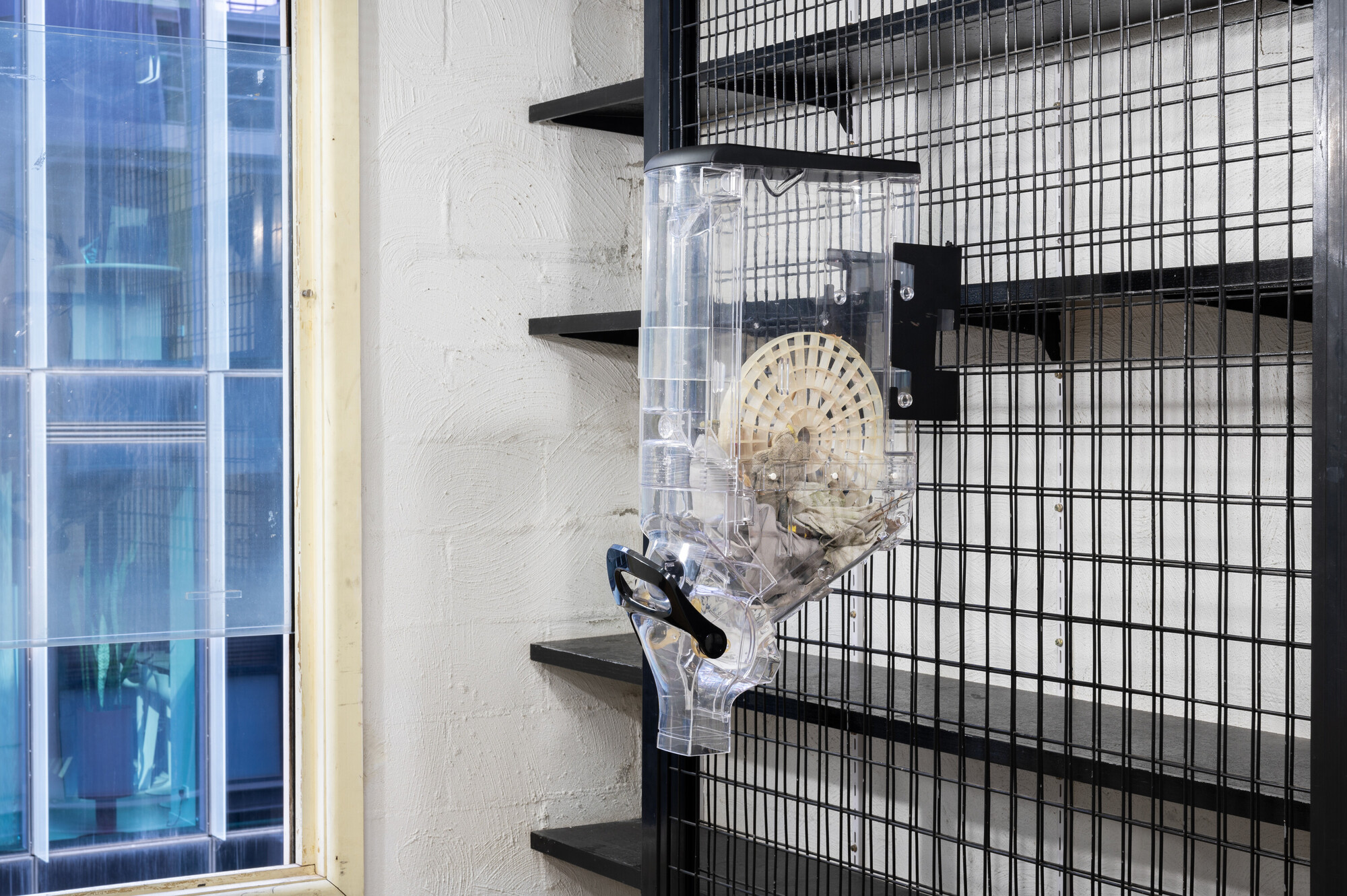 <p>Tim Woodward, <em>ZT-01bulk (1)</em>, 2024, objects fallen from apartment tower balconies and collected from city rooftops, acrylic dispenser, 71 x 43 x 15cm. Exhibited at Cache, 20-21 April 2024 Photograph: Tommaso Nervegna-Reed. Image courtesy of the artist and Cache.</p>