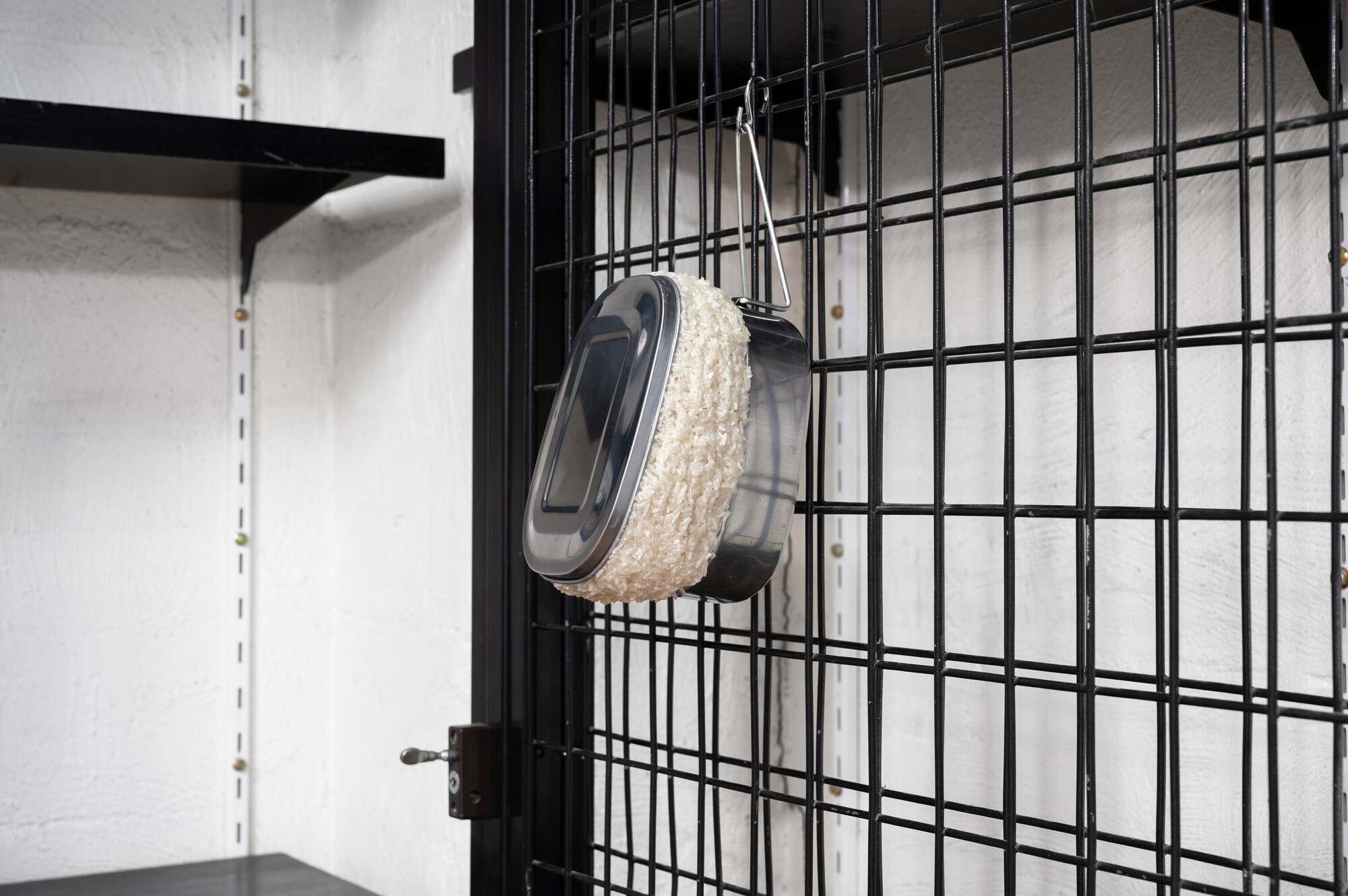 <p>Yusi Zang, <em>Hungry</em>, 2024, lunch box, rice, PVA, 13 x 25 x 9 cm. Photograph: Tommaso Nervegna-Reed. Image courtesy of the artist and Cache.</p>